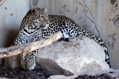 Terra Natura Benidorm