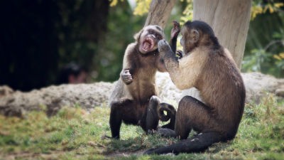 Terra Natura Murcia