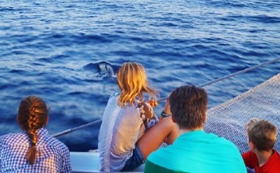 Excursion barco avistamiento delfines Mallorca