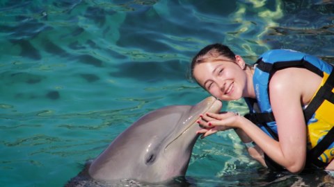 nado con delfines en Los Cabos